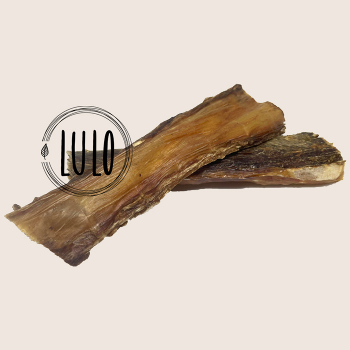 esofago gullet plano gorja bufalo