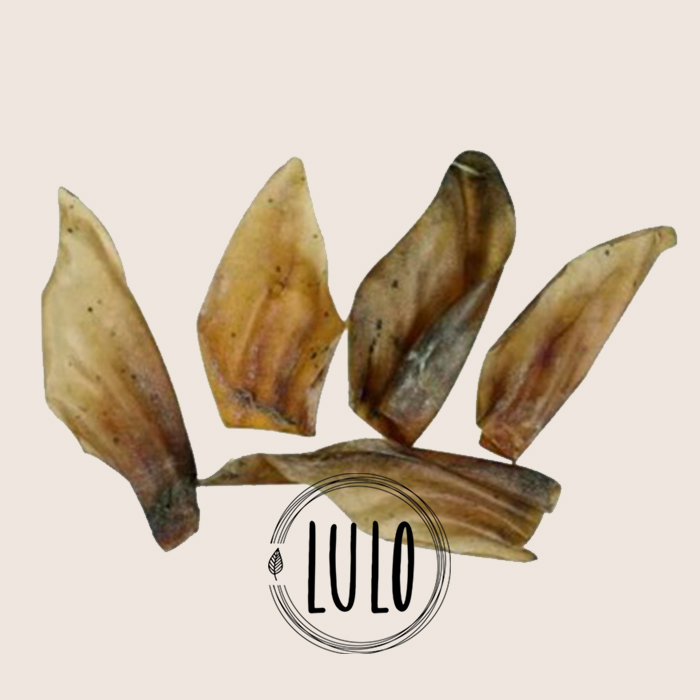 OREJA BUFALO caravaca