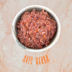 AVIS HERBA